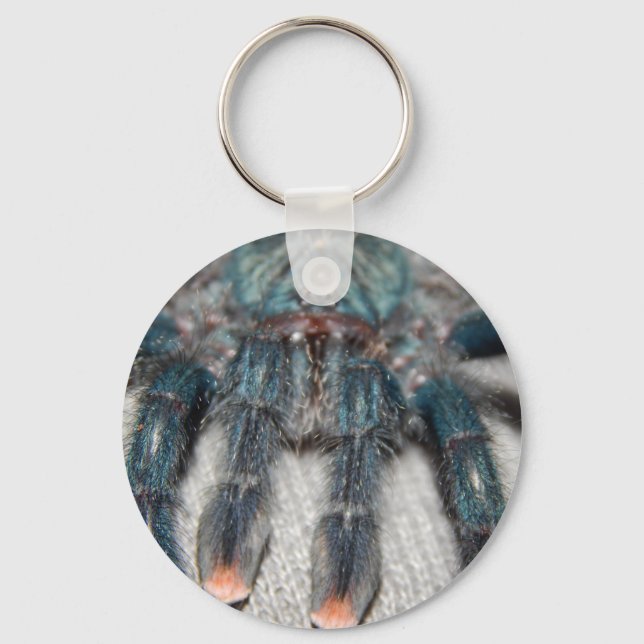 blue tarantula key ring (Front)