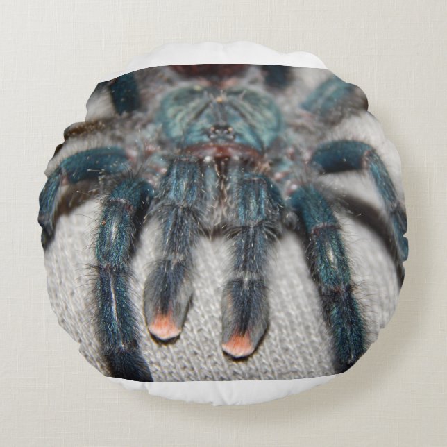 blue tarantula round cushion (Front)