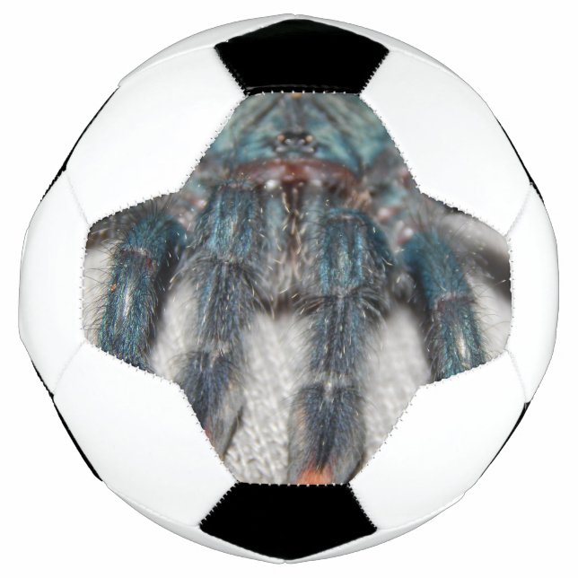 blue tarantula soccer ball (Front)