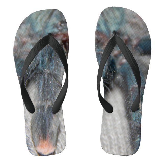 blue tarantula thongs (Footbed)