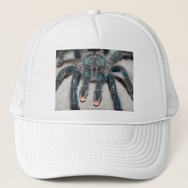 blue tarantula trucker hat (Front)