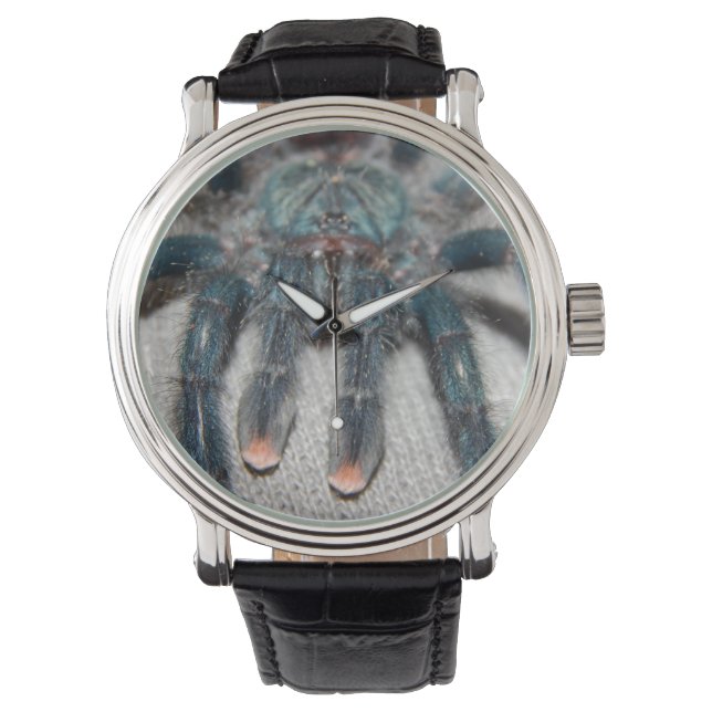 blue tarantula watch (Front)