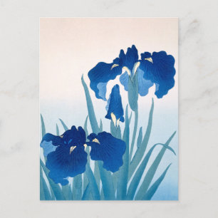 Blue & Teal Irises Thank You Postcard