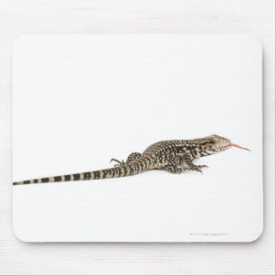 Blue tegu - Tupinambis merianae Mouse Pad