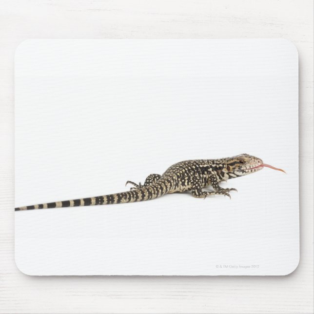 Blue tegu - Tupinambis merianae Mouse Pad (Front)