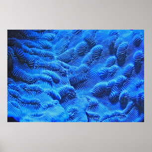 Blue textile poster