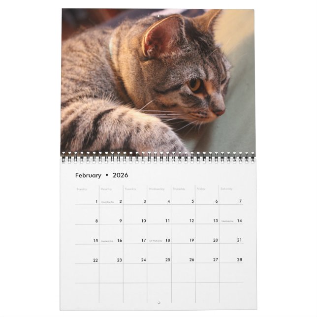 Blue the Cat - Calendar 2021 (Feb 2026)