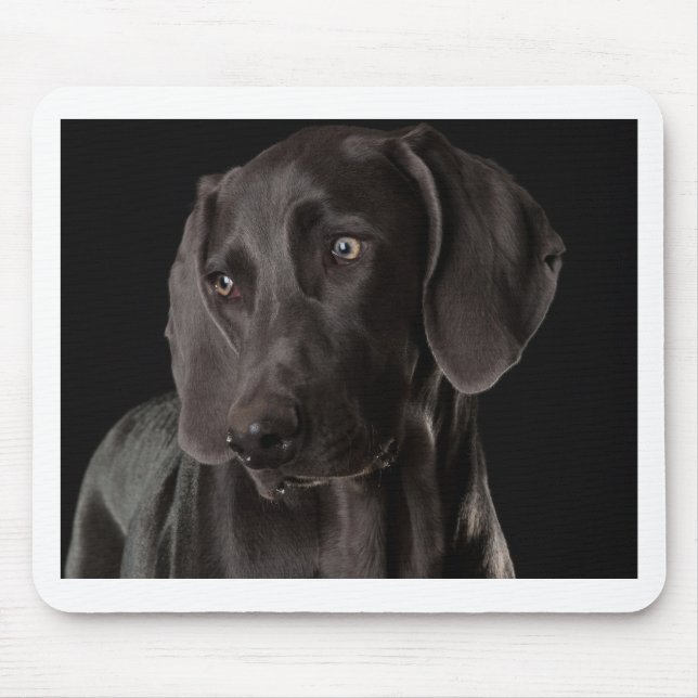 Blue the Weimaraner Mouse Pad (Front)