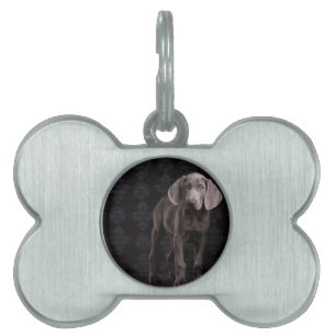 Blue the Weimaraner Puppy Pet Name Tag