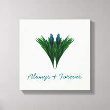 Blue Thistle - Always & Forever - Canvas