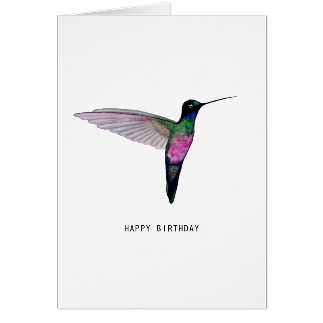 Blue-throated Starfrontlet Hummingbird (Front)
