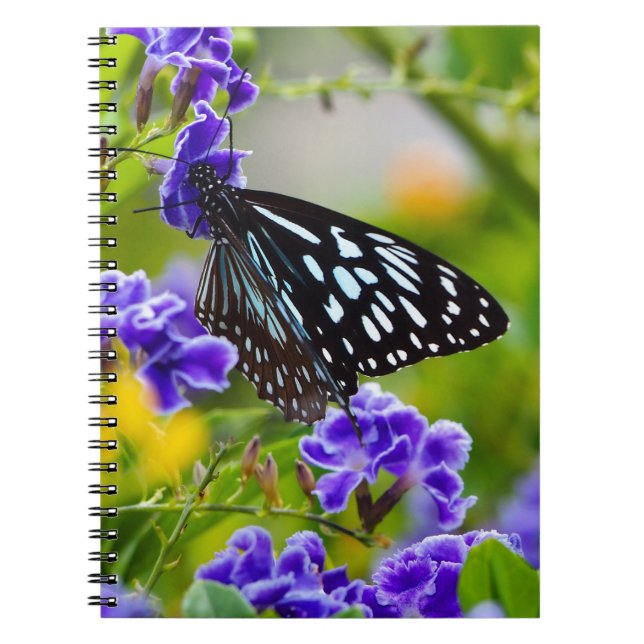 Blue tiger butterfly notebook (Front)