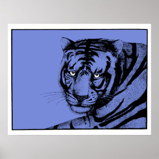 BLUE TIGER POSTER