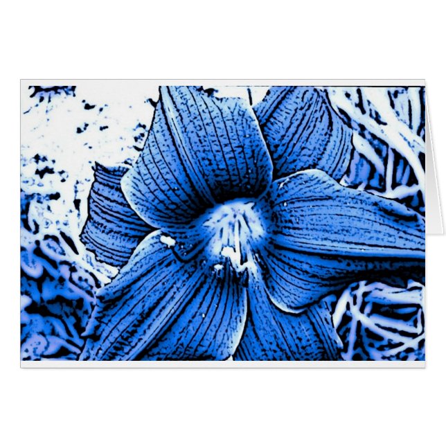 Blue Tigerlilly (Front Horizontal)