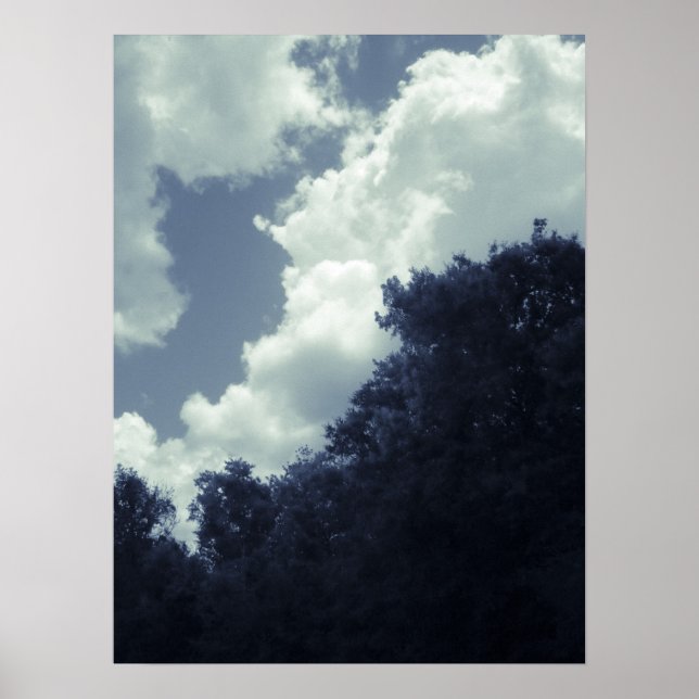 Blue Tinted Clouds, Sky, and Trees Poster (Front)