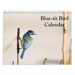 Blue-Tit Bird 2026 calendar