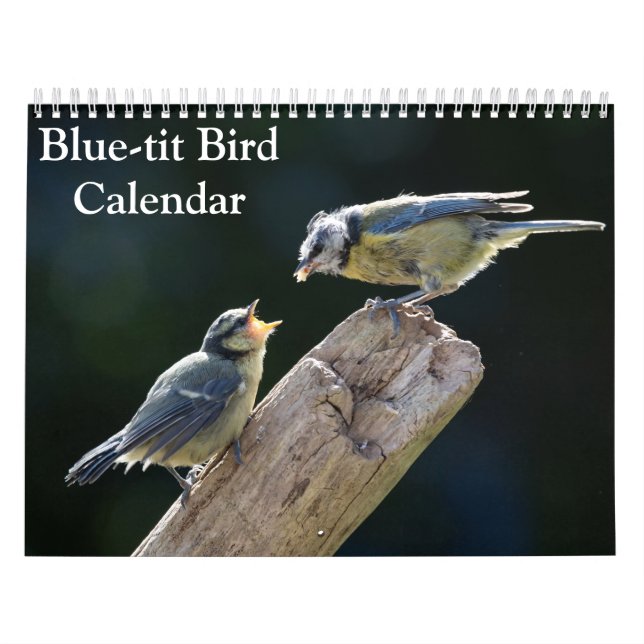 Blue-Tit Bird 2026 calendar (Cover)