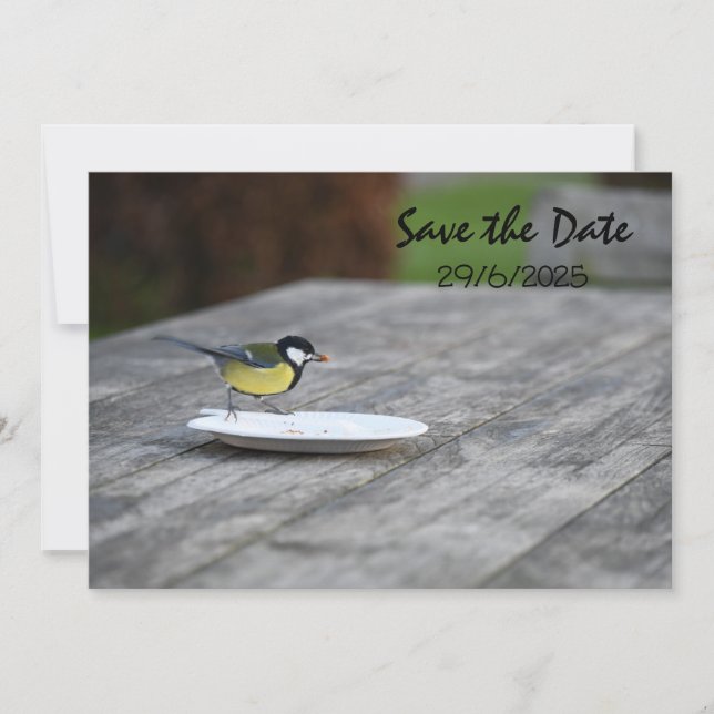 Blue Tit Bird Feed Save The Date Invitation Card (Front)
