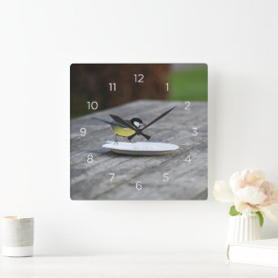 Blue Tit Bird Feeding on Plate Square Wall Clock