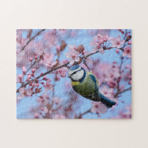 Blue Tit Bird in Pink Japanese Cherry Blossoms Jigsaw Puzzle