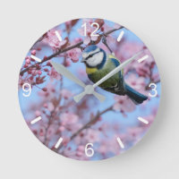 Blue Tit Bird in Pink Japanese Cherry Blossoms  