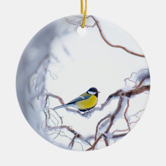 Blue Tit Bird Perched Branches Snow Frost Nature Ceramic Ornament (Front)