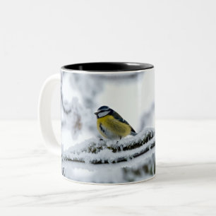 Blue Tit Bird Perched on Snowy Branch Two-Tone Coffee Mug