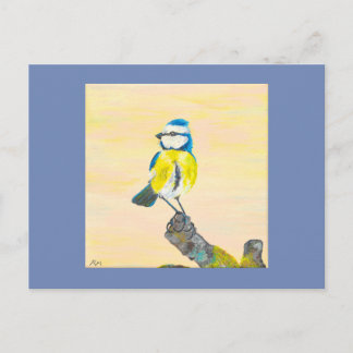 Blue tit bird postcard