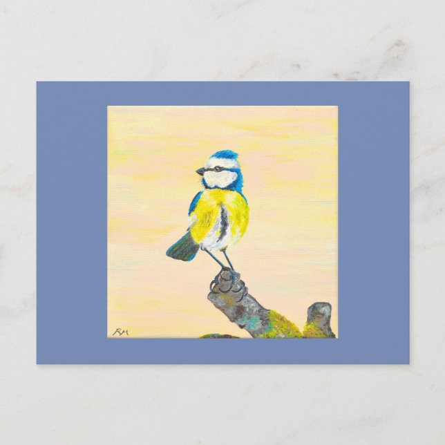 Blue tit bird postcard (Front)