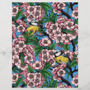 Blue tit birds in the blooming cherry tree on blue