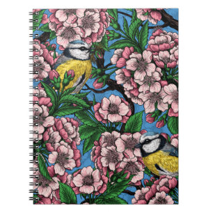Blue tit birds in the blooming cherry tree on blue notebook