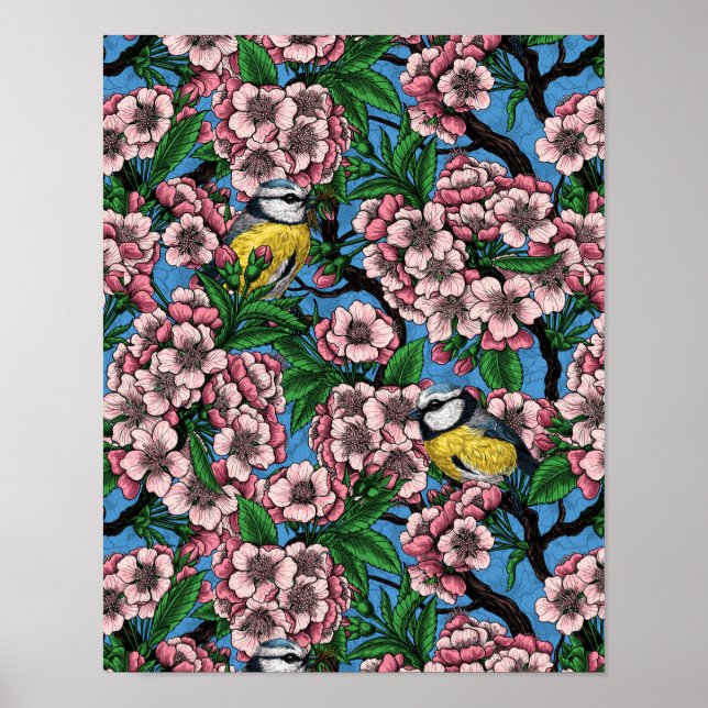 Blue tit birds in the blooming cherry tree on blue poster (Front)