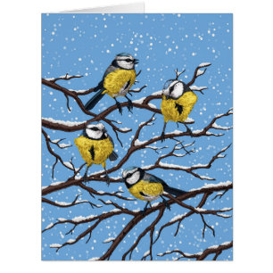 Blue tit birds in winter