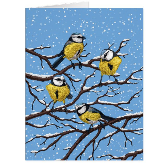 Blue tit birds in winter (Front)