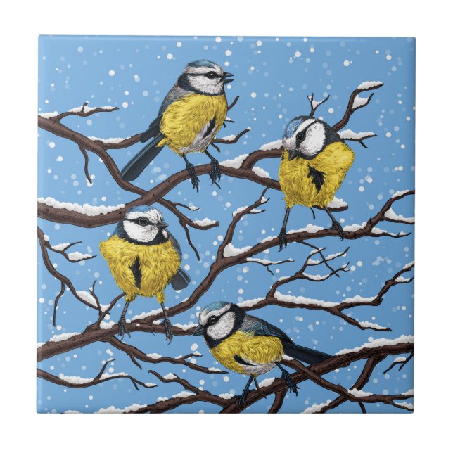 Blue tit birds in winter ceramic tile (Front)