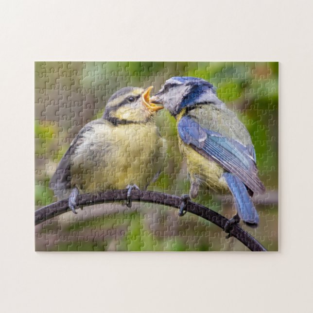 Blue Tit Feeding Fledgling Jigsaw Puzzle (Horizontal)