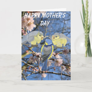 Blue-tit Mother and Babies Mother's Day Holiday Card