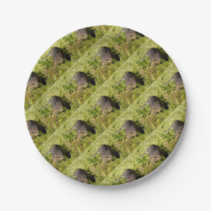 Blue Tongue Lizard Creeping In The Grass, Paper Plate