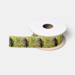 Blue Tongue Lizard Creeping In The Grass, Satin Ribbon