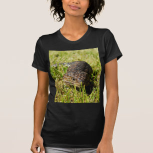 Blue Tongue Lizard Creeping In The Grass, T-Shirt
