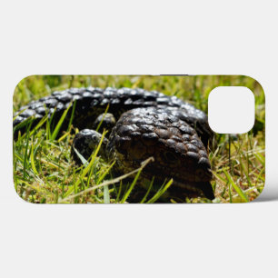 Blue Tongue Stumpy Australian Lizard, iPhone 13 Case