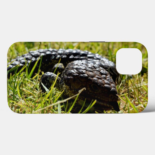 Blue Tongue Stumpy Australian Lizard,   Case-Mate iPhone Case (Back (Horizontal))