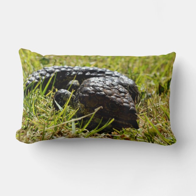 Blue Tongue Stumpy Australian Lizard,    Lumbar Cushion (Front)