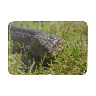 Blue Tongue Stumpy Lizard, Bath Mat