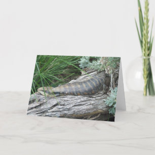 Blue-tongued Lizard Greeting Card