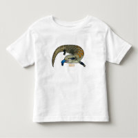 Blue-tongued skink cartoon illustration