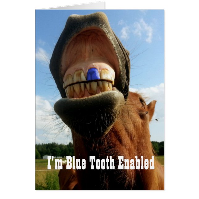 Blue Tooth Enabled Horse (Front)