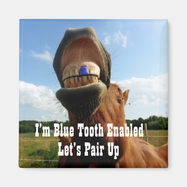 Blue Tooth Enabled Horse Magnet (Front)