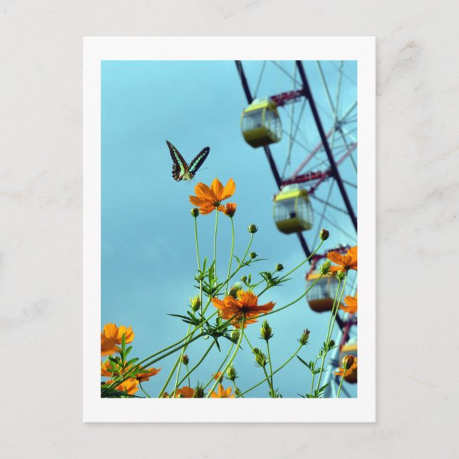 Blue Triangle Butterfly & Cosmos Flowers: Japan Postcard (Front)