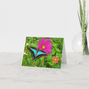 Blue triangle butterfly on cosmos flower holiday card